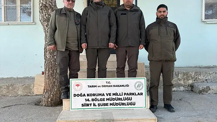 Siirt'te Kaçak Avcılığa Geçit Yok