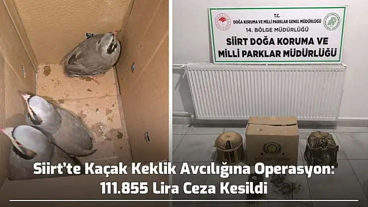 Siirt'te Kaçak Keklik Avcılığına Operasyon