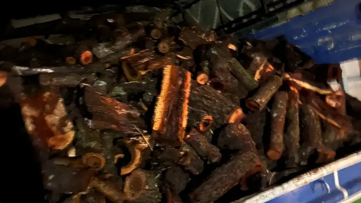 Siirt'te Orman Kaçakçılarına Göz Açtırılmıyor