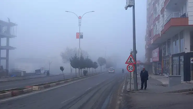 Siirt'te Sis Görüş Mesafesini Düşürdü!