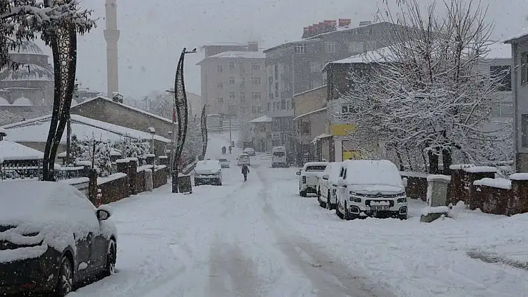 Siirt'te ve Bingöl'de Kar Nedeniyle 175 Köy İle Ulaşım Sağlanamıyor