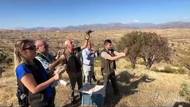 Siirt'te Yaralı Keklikler Tedavi Edilerek Doğaya Bırakıldı