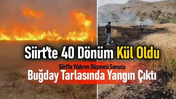 Siirt'te Yıldırım Düşmesi Sonucu Buğday Tarlasında Yangın!