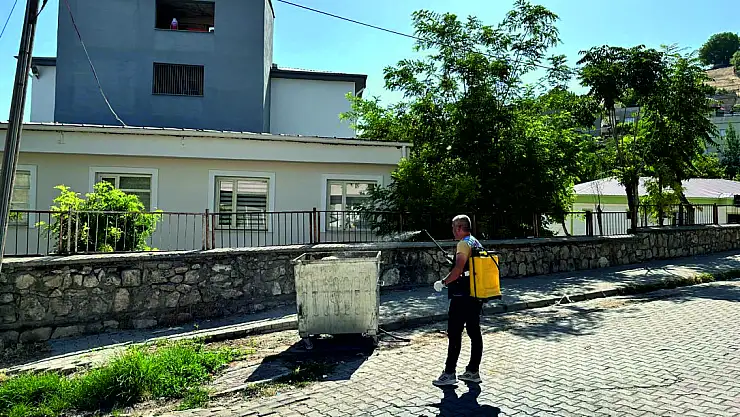 Sinek ve Haşerelere Karşı Yoğun İlaçlama Çalışmaları