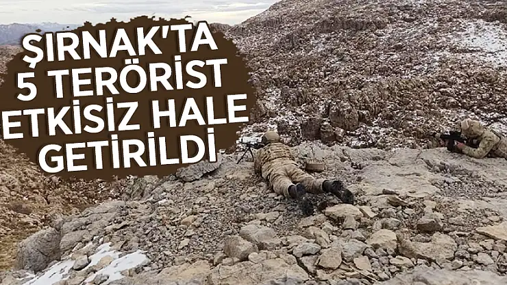 Şırnak'ta 5 Terörist Etkisiz Hale Getirildi