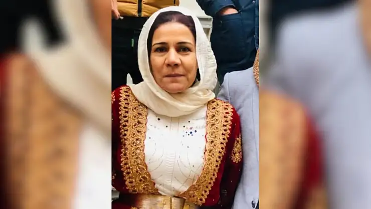 Suruç'ta Elektrik Akımına Kapılan Kadın Yaşamını Yitirdi