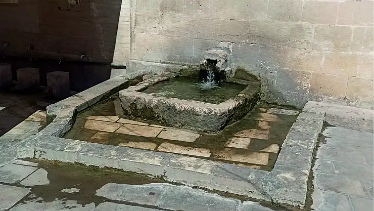 Suyun Bağlara Verilmesi Talep Ediliyor!