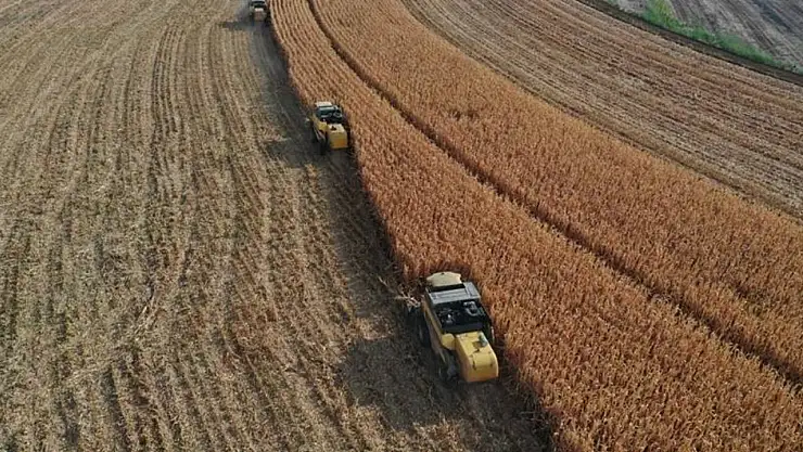 Tarım Destek Ödemeleri Hesaplara Yatıyor