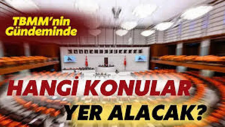 TBMM'nin Gündeminde Bu Hafta Neler Var?