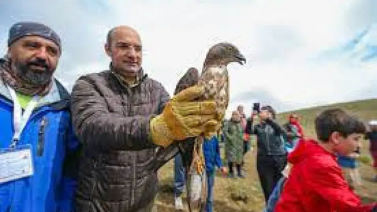 Tedavileri Tamamlanan  Kartal ve Şahin Doğaya Salındı