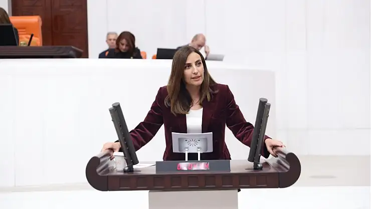 'TSK'da, Kara-Hava ve Deniz Kuvvetlerinin Bileşiminden Oluşan Bir Doğal Felaketlerle Mücadele Kuvvetleri Kurulmalı'