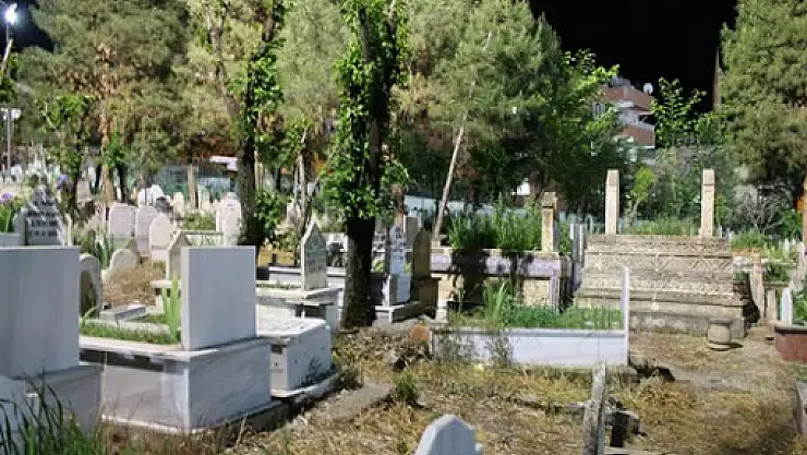 TÜİK'in Siirt İle İlgili  Doğum-Ölüm ve Hastalık İstatistiği!