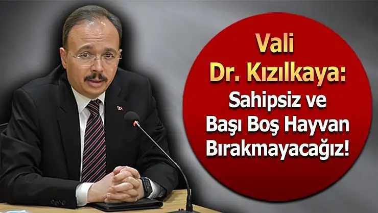Vali Dr. Kızılkaya: 'Sahipsiz ve Başı Boş Hayvan Bırakmayacağız'