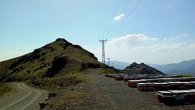 Vali Kızılkaya Talimat Verdi, Yayla Yolu Açıldı