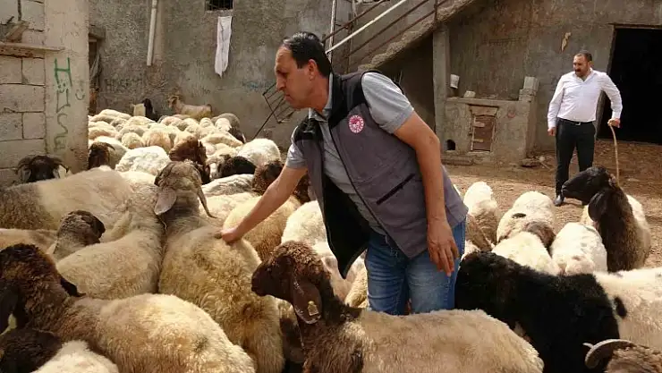 Veteriner Hekim Oktay, Kurbanlık Seçimi ve Kesimiyle İlgili Bilgilendirmelerde Bulundu