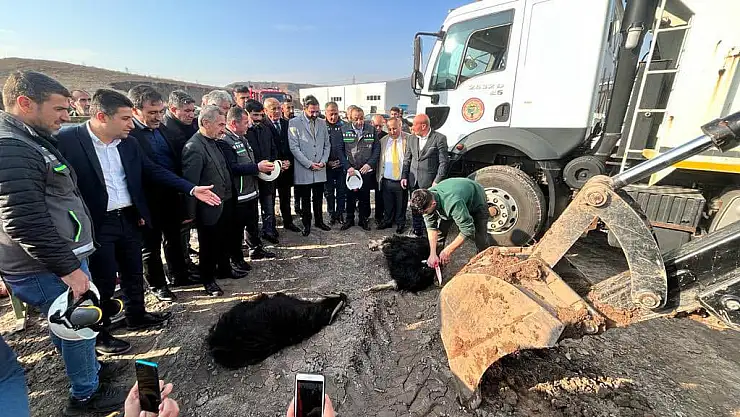 Veysel Karani'de Doğalgaz Çalışmaları Başladı