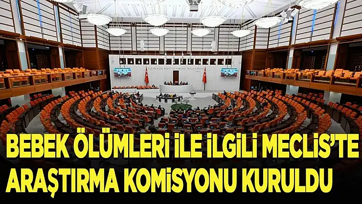 'Yenidoğan Bebekler Çetesi' İle İlgili Meclis Araştırma Komisyonu Kuruldu