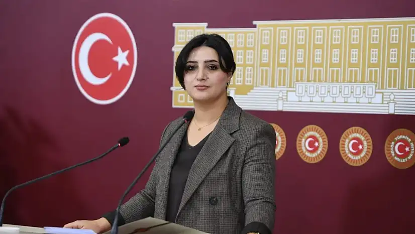 '26 Kişilik Kadroya 22 Bin Başvuru: Bu Tablonun Adı Umutsuzluk' – DEM Partili Sarıtaş'tan TBMM'de İşsizlik Tepkisi