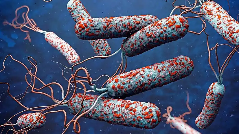 31 Ülkede Kolera Alarmı: 4 Bin 738 Can Kaybı, Acil Müdahale Çağrısı Yapıldı