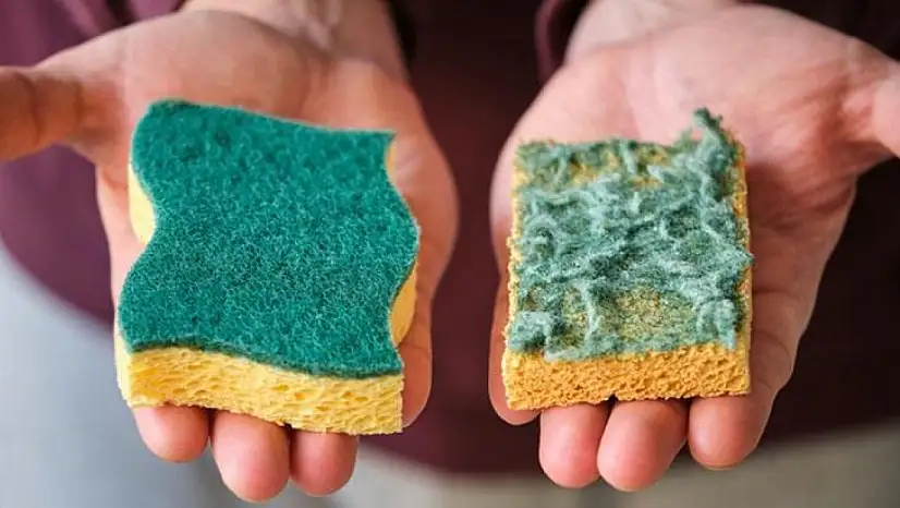 Amerikalılar neden bulaşık süngeri kullanmıyor? Mutfaklardaki farklılığın sebebi