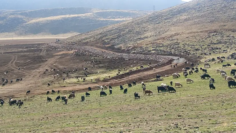 Artı Siirt Gündeme Getirdi! Valilik El Attı! Siirt'in En Büyük Gölü Yeniden Hayat Bulacak