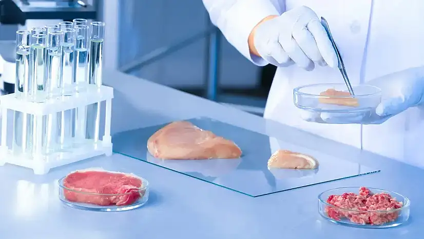 Bakan Yumaklı: İklim Kanunu'nda Yapay Et Düzenlemesi Yok, Hayvancılık Devam Ediyor