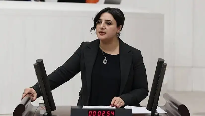 DEM Parti Siirt Milletvekili Sarıtaş TBMM'de Emekçilerin Sorunlarını Gündeme Taşıdı