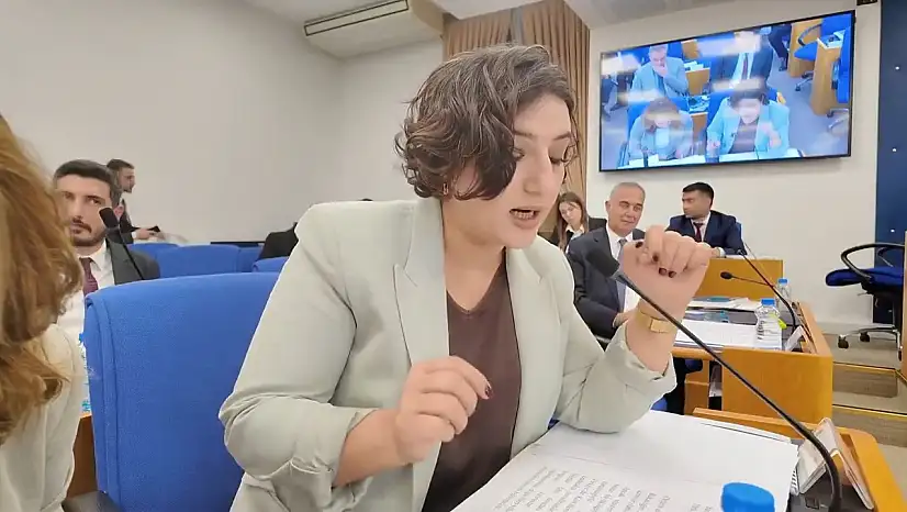 DEM Partili Sarıtaş'tan İnternet Altyapısı Eleştirisi: ''Türkiye Hızlanmıyor, Zamlanıyor''