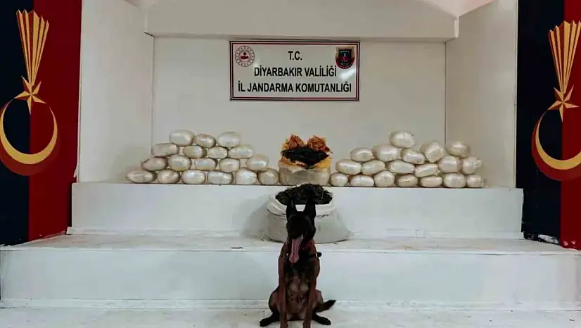 Diyarbakır'da 470 kilo skunk ve 85 kilo esrar ele geçirildi