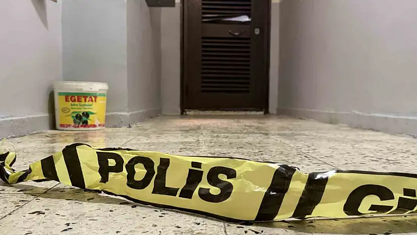 Diyarbakır'da bir şahıs anne ve ağabeyini yataklarında öldürdü