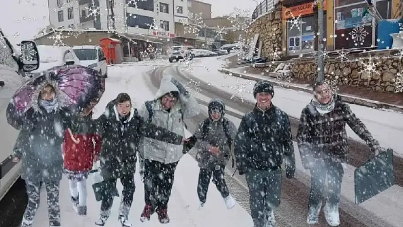 Diyarbakır'da okullar çarşamba günü tatil edildi