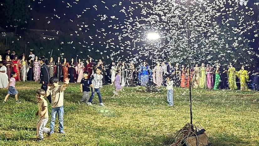 Düğün alanını kelebekler sardı, davetliler oturdu kelebekler dans etti