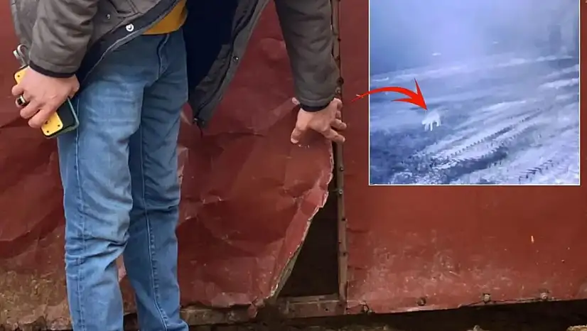 Kars'ta Kurt 200 Koyunu Telef Etti