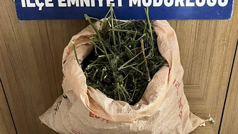 Kurtalan'da polis kovalamacası: Araçta sentetik uyuşturucu ele geçirildi, 3 kişi gözaltına alındı