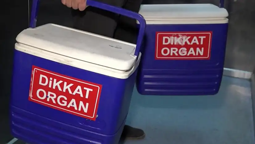 Organ Bağışı Artık e-Devlet ve e-Nabız Üzerinden Yapılabilecek