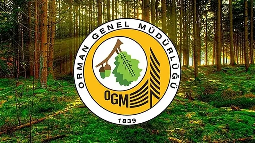 Orman Genel Müdürlüğüne 496 Sözleşmeli Personel Alınacak
