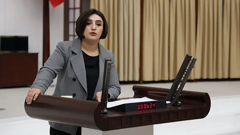 Sabahat Erdoğan Sarıtaş, Siirt'teki İntihar Vakalarını Meclise Taşıdı: 'Önleme Planınız Var Mı?'