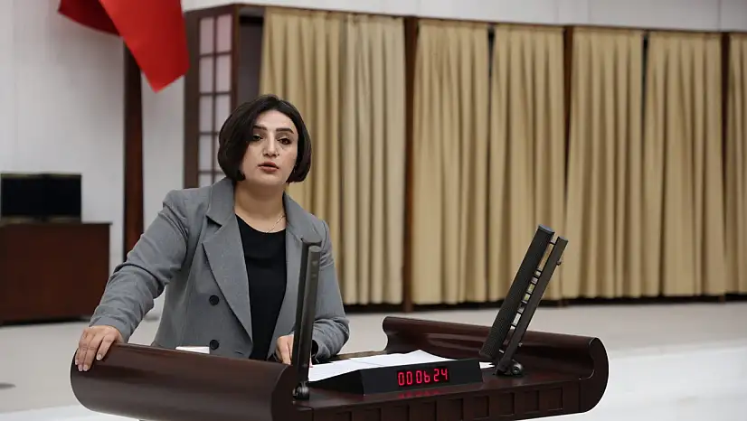 Sabahat Erdoğan Sarıtaş'tan Kadına Yönelik Şiddette Cezasızlığa Bakanlıklara Karşı Soru Önergesi!