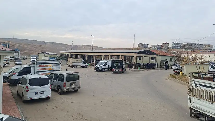 Sağlık Kontrolleri Tamamlandı! 5 Ay Aradan Sonra Siirt Hayvan Pazarı Yeniden Açıldı