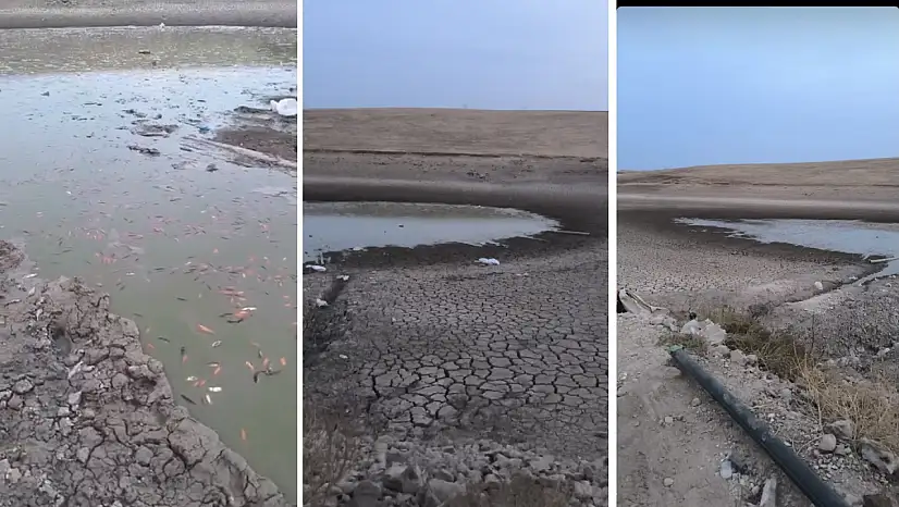 Siirt Kurtalan'da Kuraklık Alarmı: Çayırlı Köyü Gölündeki Balıklar Ölüm Tehlikesiyle Karşı Karşıya