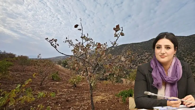 Siirt Milletvekili Sarıtaş'tan Bakan Yumaklı'ya Siirt Fıstığı İçin Soru Önergesi