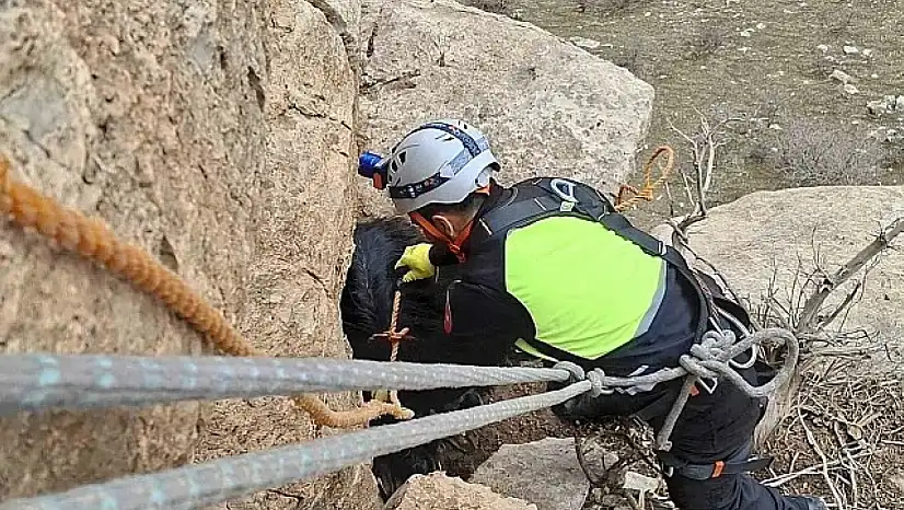 Siirt Şeytan Deresi'nde 3 gündür mahsur kalan keçiye kurtarma operasyonu