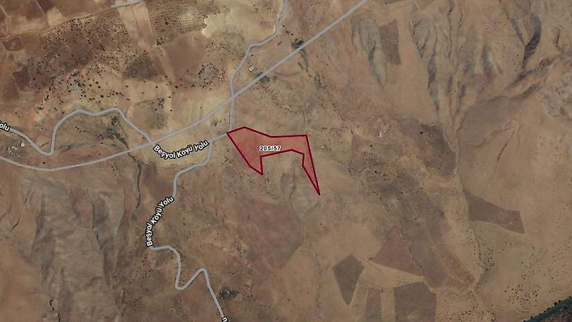 Siirt'te 21 bin metrekarelik tarla icradan satışa çıktı: Bedeli belli oldu