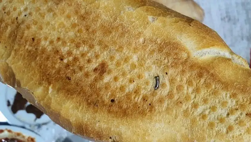 Siirt'te Ekmekten Çivi Çıktı