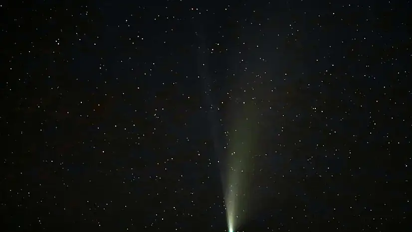 Siirt'te görüntülendi: 1.350 yıl aradan sonra ilk kez