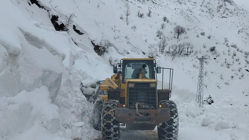 Siirt'te Kar ve Tipi Ulaşımı Aksattı: 131 Köy Yolu Kapandı