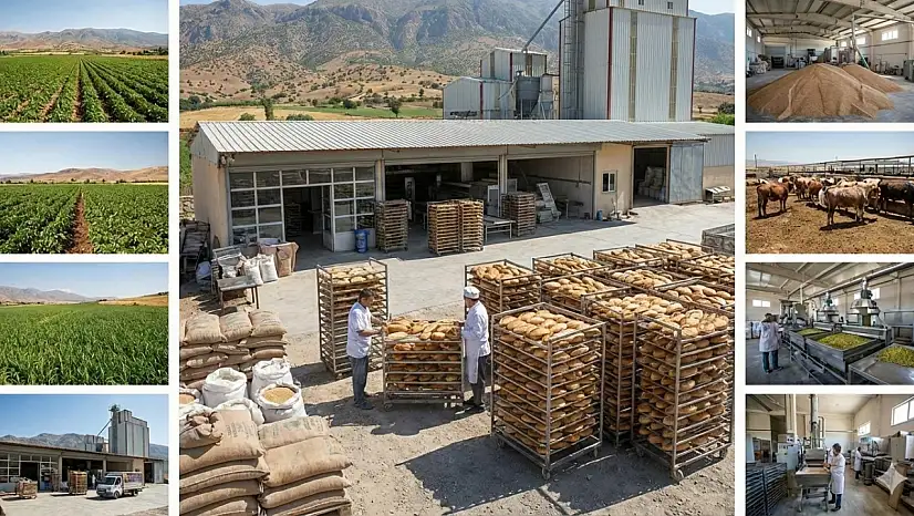 Siirt'te tarıma dayalı sanayi işletme sayısı 179'a ulaştı