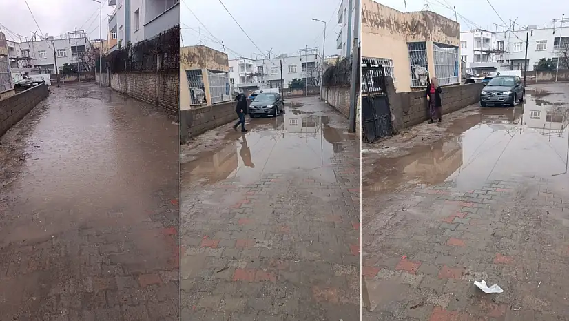 Siirt'te yağmur sonrası sokak göle dönüyor: Barış Mahallesi sakinleri çözüm bekliyor
