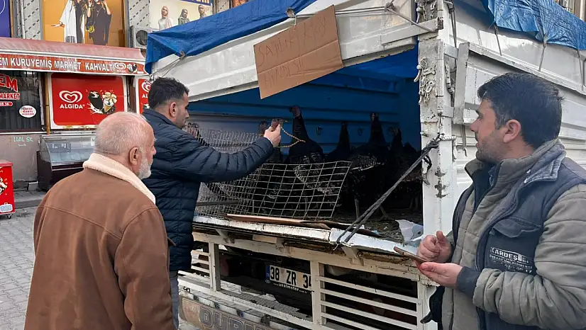 Siirt'te yılbaşı öncesi hindilere talep arttı fiyatları belli oldu!