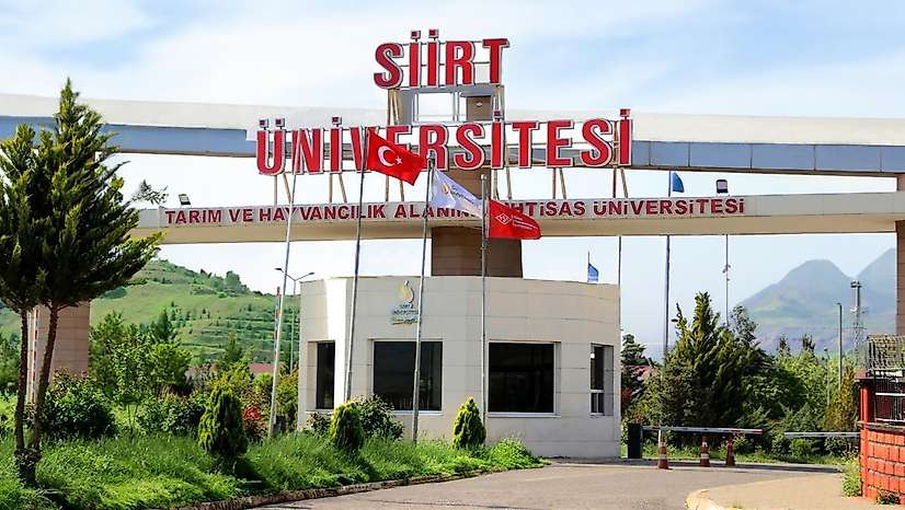 Siirt Üniversitesi'nden Akademisyenlere Duyuru: TÜBA-TEKNOFEST Doktora Ödülü Başvuruları Başladı